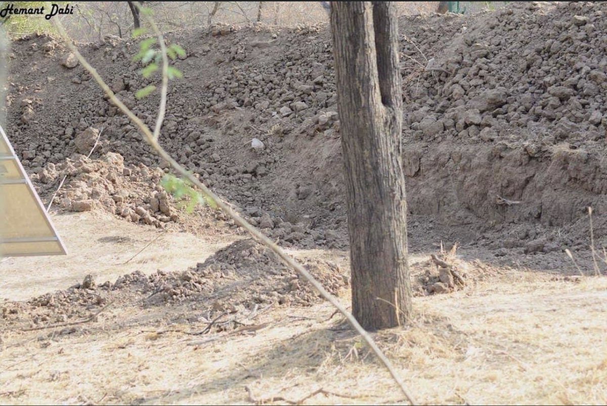 NoLifeShaq's tweet photo. Find the leopard 👀 Retweet when you find it 😂 https://t.co/y5mSHJ4Ebn