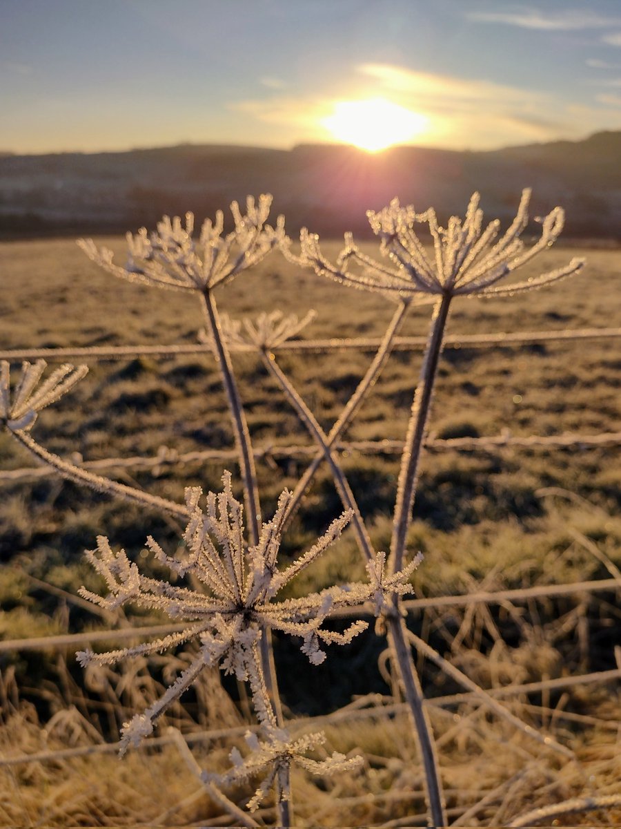 Winter solstice. Time to usher in light and new life.