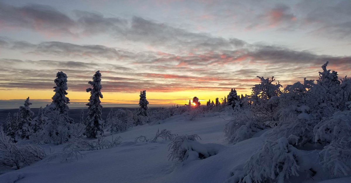 Sunrise: 10:12 am
Sunset: 3:39 pm
Total sunlight at my QTH today: 5 hours, 26 minutes

Happy winter solstice! ❄️☃️