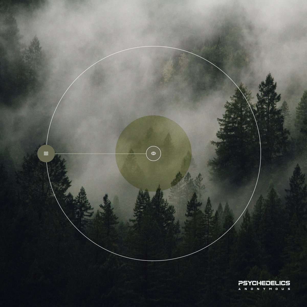 Psychedelics Anonymous (@psychedelic_nft) on Twitter photo 