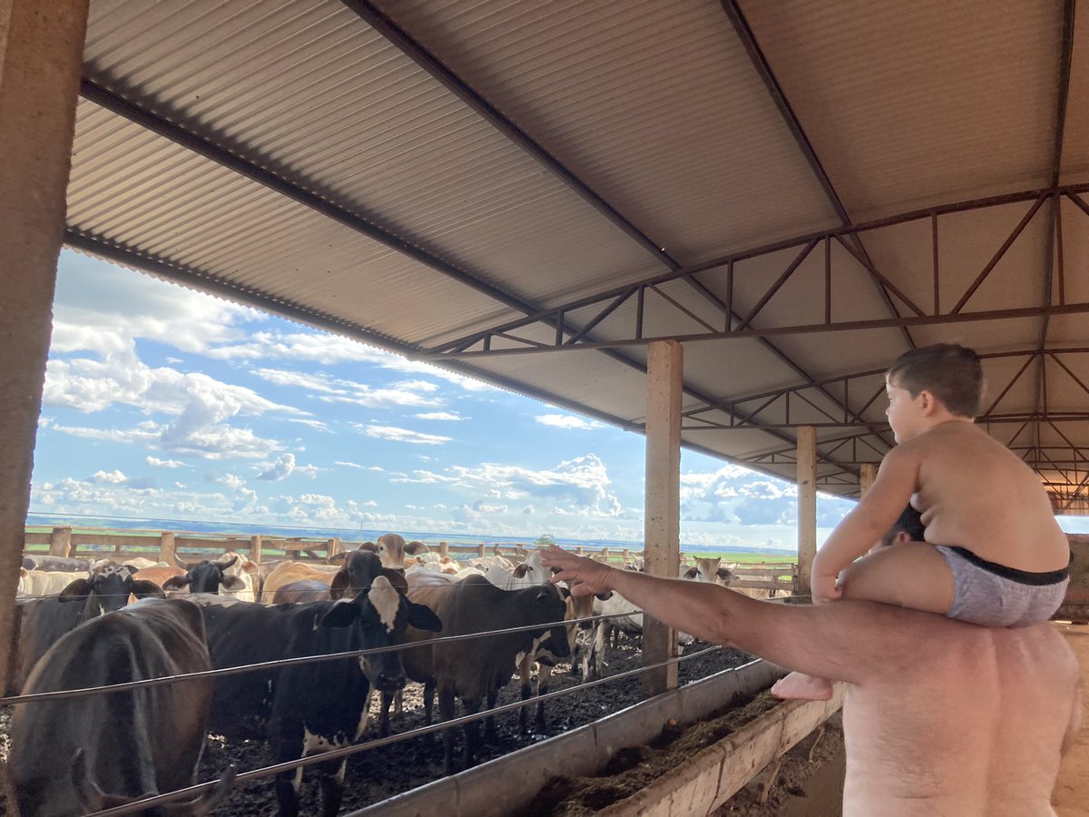 MazaroGi's tweet photo. O Be e o Tio Eder vendo os boizinhos ❤️🐮 https://t.co/Wdkz6XGxEC