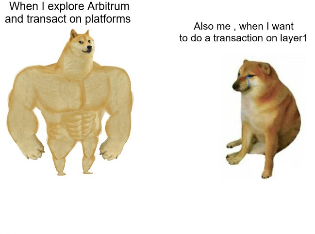 Castormaz's tweet photo. #ARBIDMemes @ARBIDname https://t.co/ep8dy51wYR