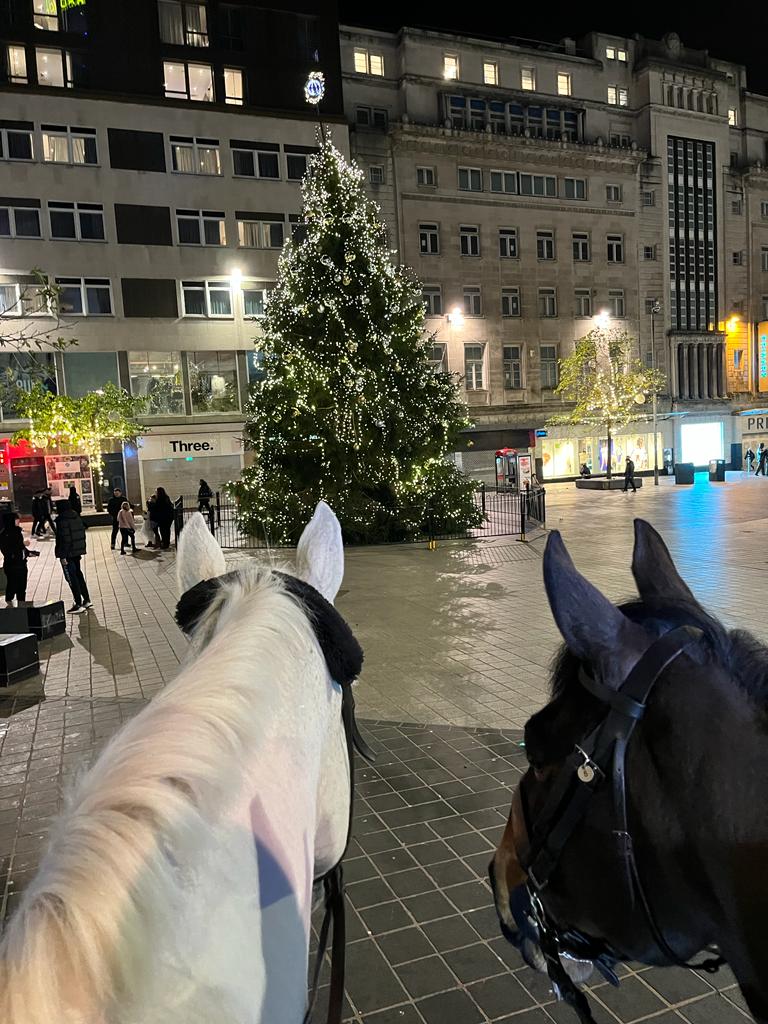 Silver, Jake and our officers are currently patrolling around Liverpool City Centre. 
If you see them, why not go up and say hello. 
#StandTall #PHSilver #PHJake #MountedPatrols #ChristmasShopping