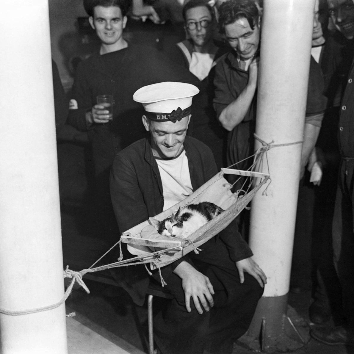 Ship Hits the Fan, a podcast tweet media