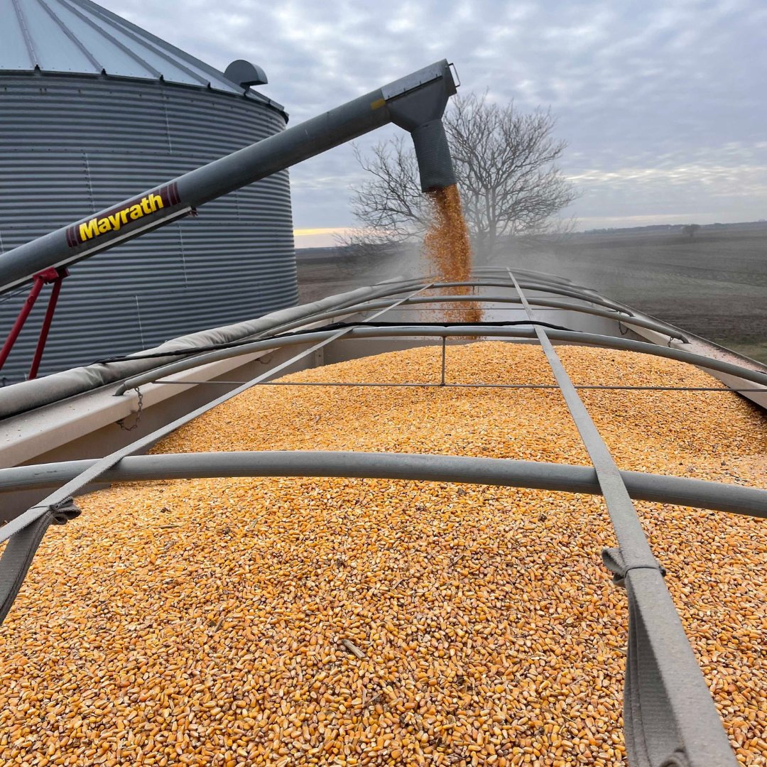 May your Holidays be filled with Joy.