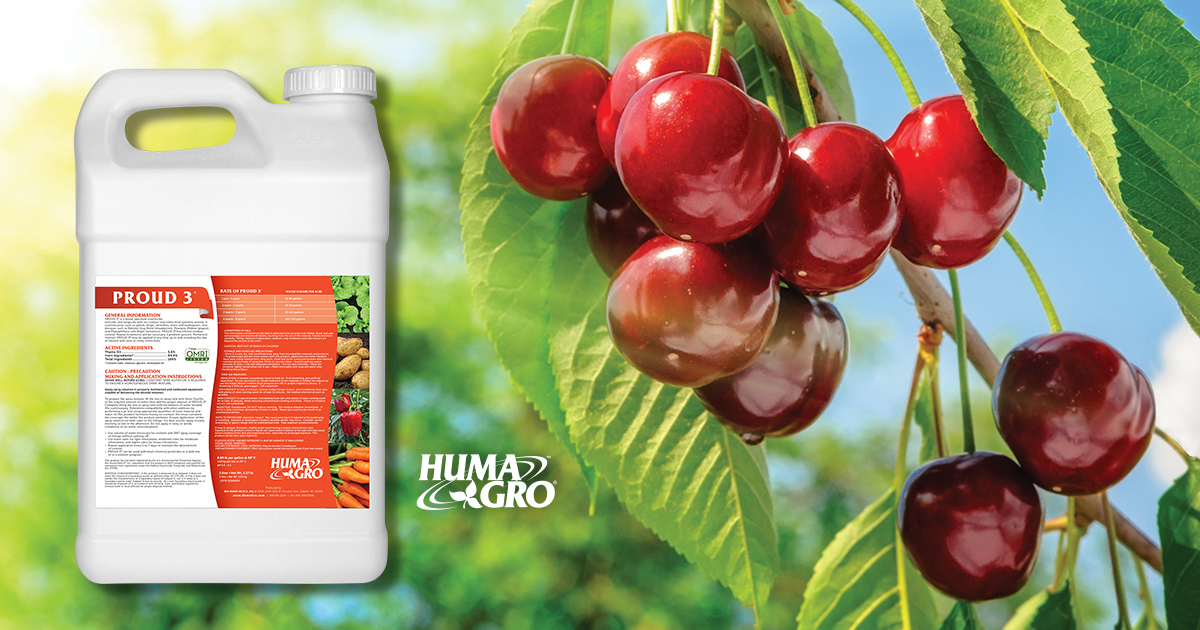 HumaGro's tweet photo. Did you know #HumaGro Proud 3® can be used as a fruit or vegetable wash to prevent post-harvest diseases?

To access research reports &amp; field studies on this broad-spectrum foliar insecticide, miticide, and fungicide, visit: https://t.co/SyvqKi6MKU

#Agriculture #Farming #Farmers https://t.co/3adjmD70mI