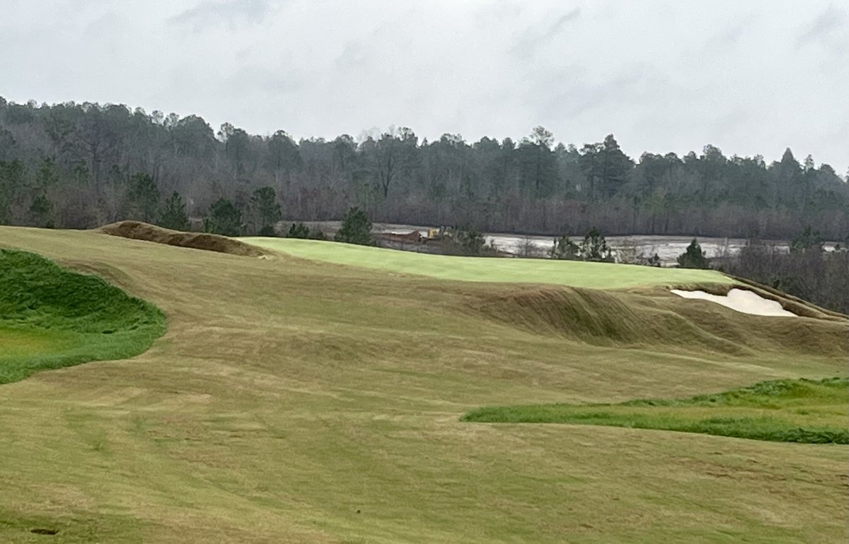 Steve Whitaker tweet media