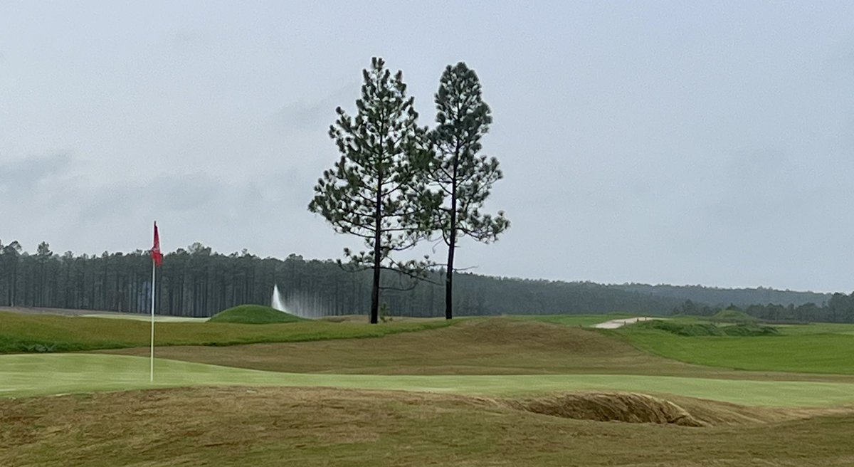 Steve Whitaker tweet media