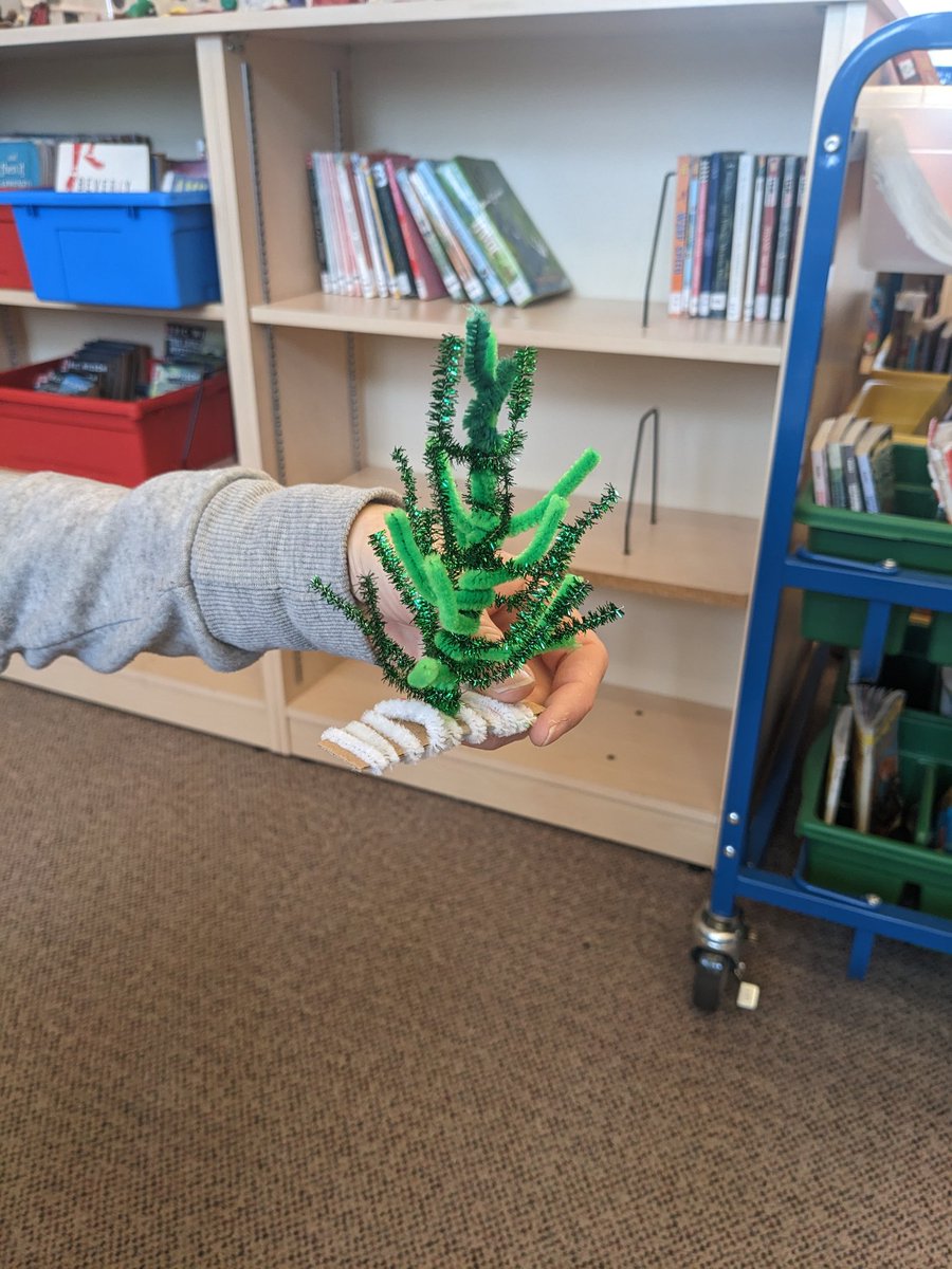 Tilley_Time's tweet photo. We made our own pine trees to match the book A Porcupine in a Pine Tree! @SMCDSB_MAC https://t.co/gNgjdGe9jy