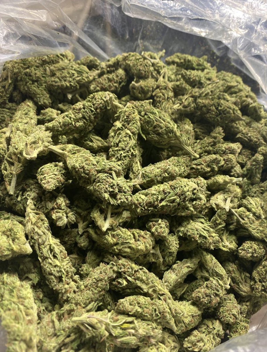 EldealMedicen's tweet photo. En la variedad está el gusto. 🤙🏼🔥Siempre trabajando más duro para todos ustedes superando los precios
Tap in DM 🤑
#420friendly
#weedpack https://t.co/ElsOJskIrJ