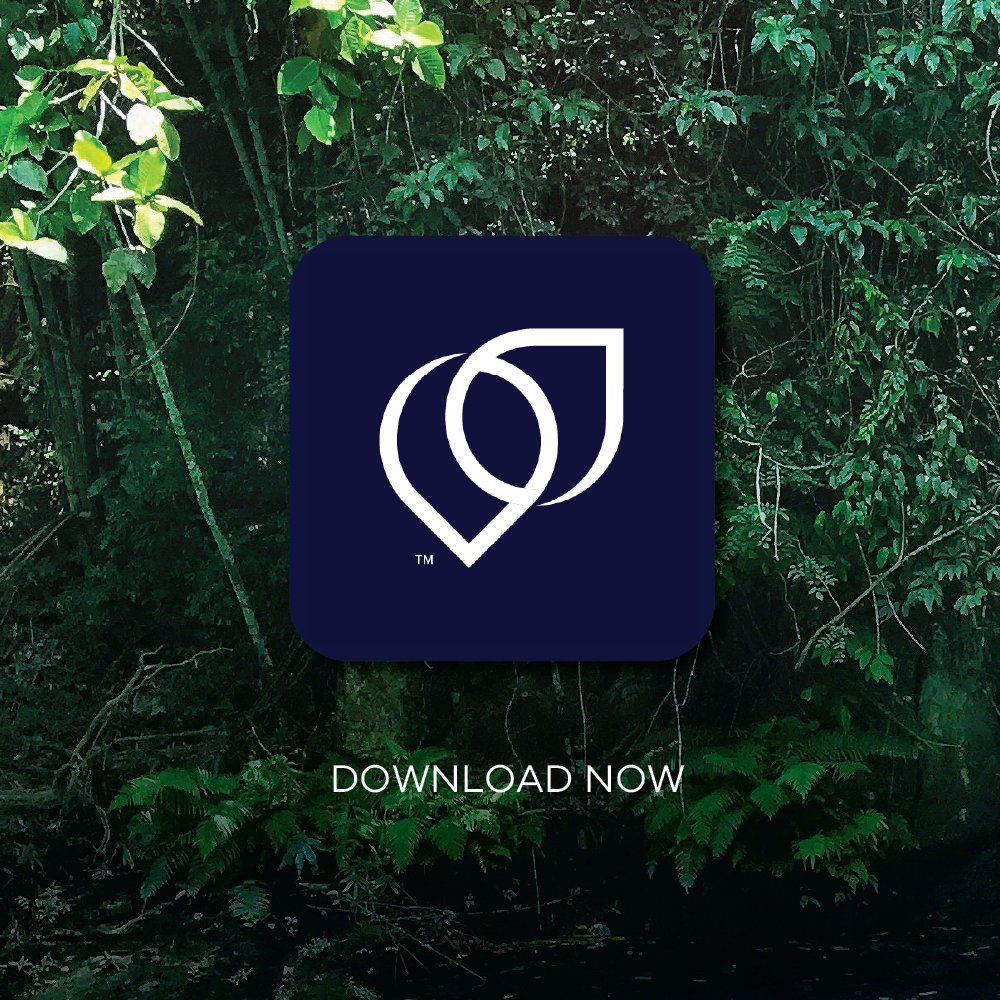 Wander (@WanderSocialApp) / Posts / X