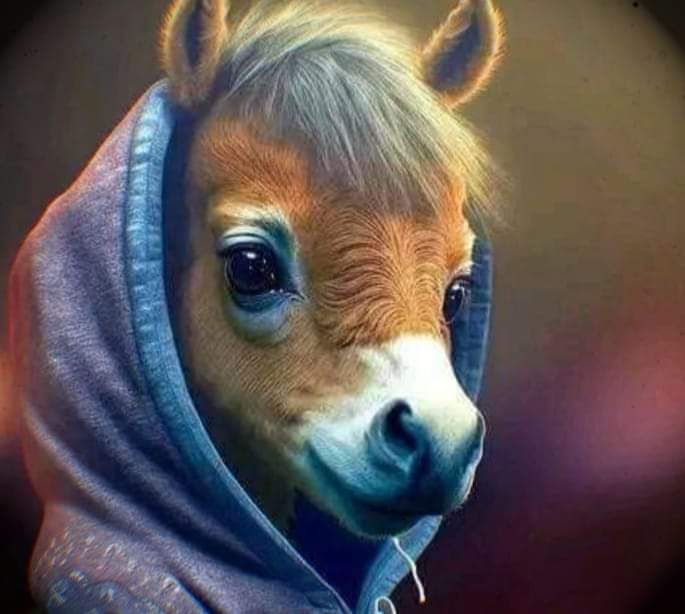 Өглөөний мэнд ☀ Бүгдээрээ дагаж, дагалцаж олуулаа болцгооё!👍 Дагасан болгоныг дагадаг нь энд цуглаж дагалцъя.🙋‍♀🇲🇳#Retweet, #favorite 💯🙏🙏🙏