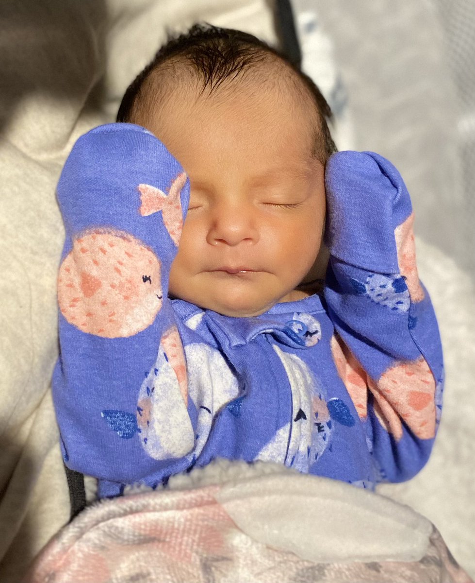 Jamie Anderson tweet media