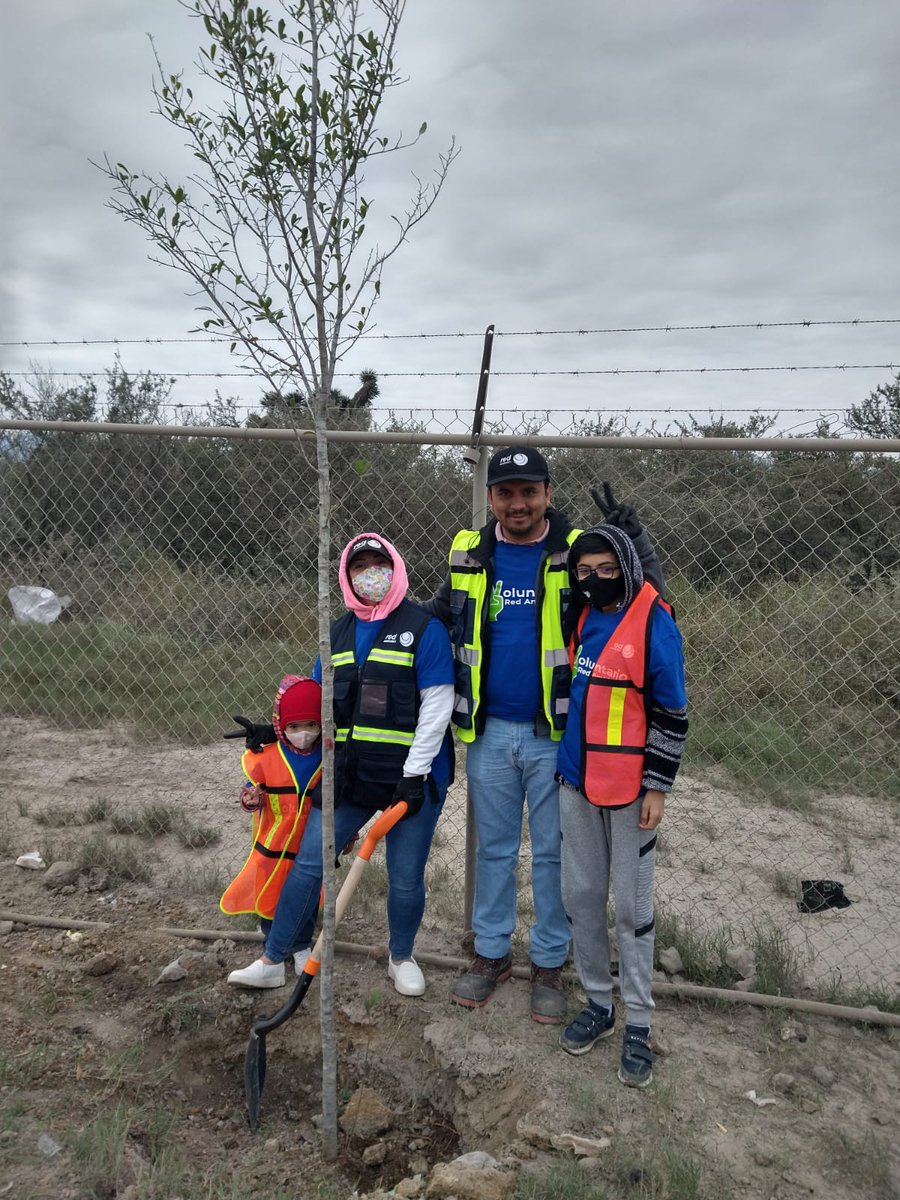 RedAmbiental_Mx's tweet photo. Sembramos 55 árboles en nuestro CIPRES de Salinas Victoria con la ayuda de 25 Voluntarios.
¡Juntos contribuimos al cuidado del medio ambiente!✅
#RedAmbiental #SomosMuchoMasquelosdelaBasura #RedForestando #ResponsabilidadSocial #MedioAmbiente #ecologia https://t.co/YvANnzsSfn