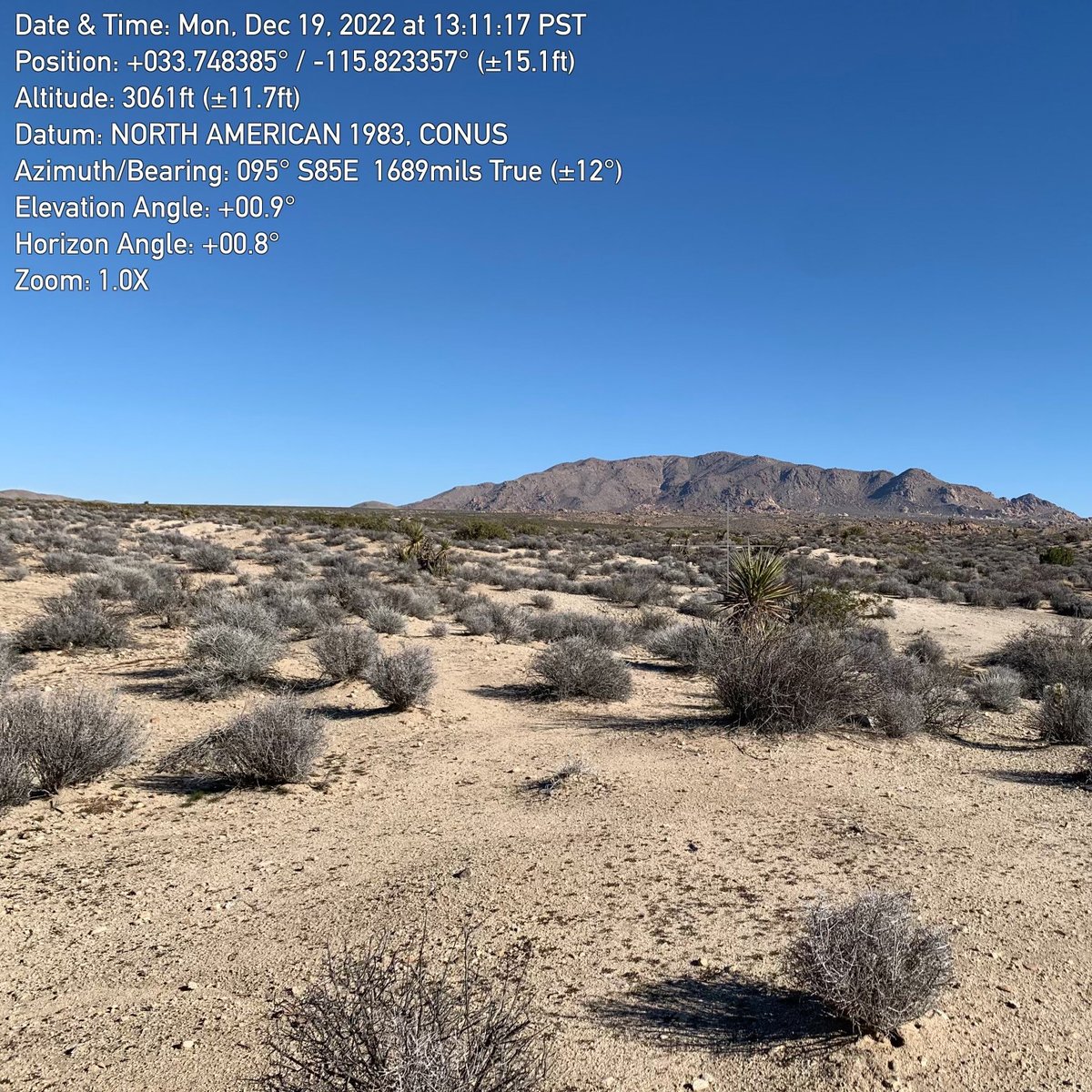 Site visit to Joshua Tree National Park right before the holidays!

#nationalpark #nationalparkservice #joshuatreenationalpark #cottonwoodvisitorcenter #landscapearchitecture #siegelandstrainarchitects #provostandpritchard