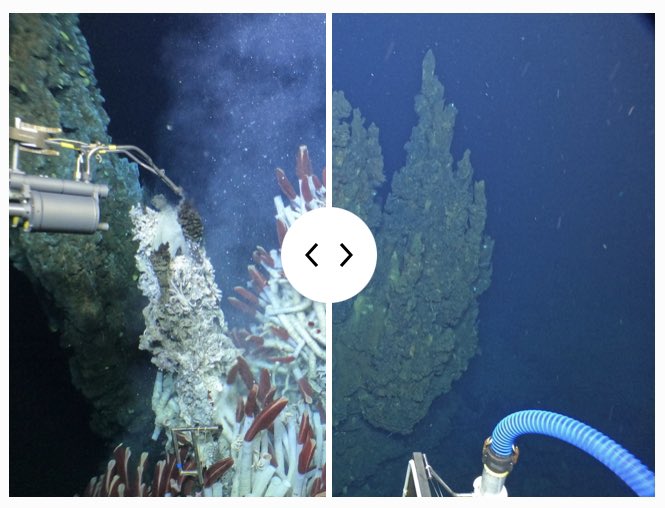 New blog post! Come learn about inactive vents, how we’re studying them and the life we’re finding! wp.wwu.edu/arellanolab/ca…

#Biofilms4Larvae #marinebiology #dsvalvin
