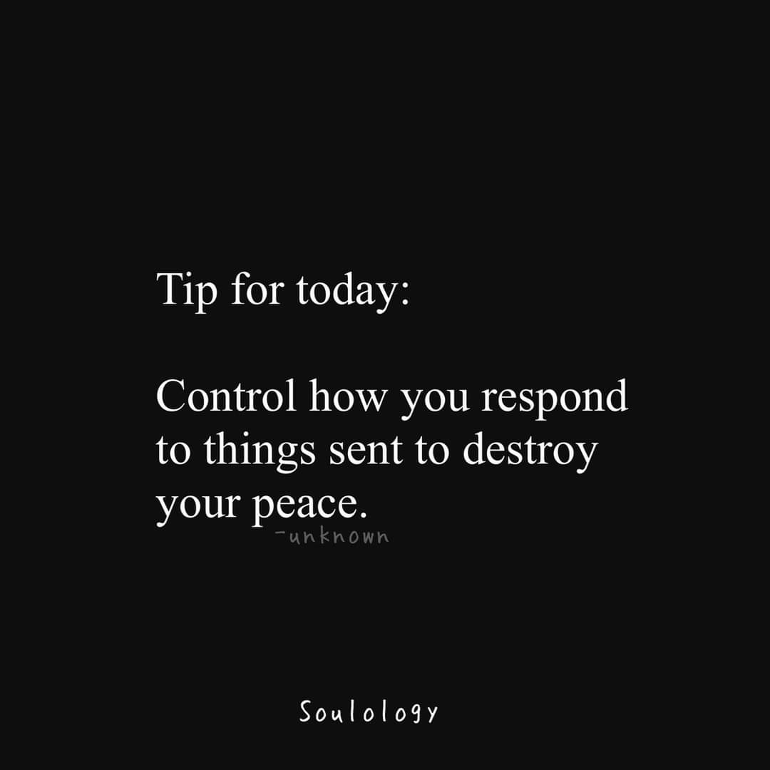 angie can tweet media