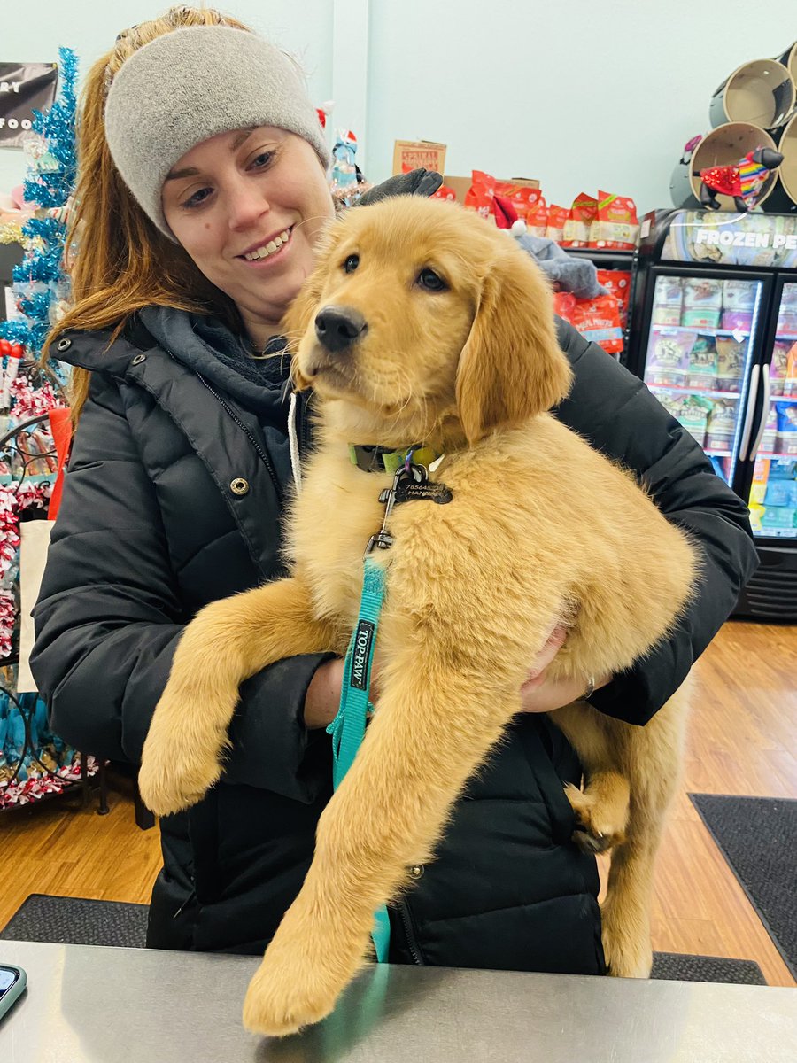 🐶 This is Figment! She’s an 11 week old Golden puppy! ❤️ Today she came in for Lucky Dog brand treats! Which are BUY 2 Get 1 FREE! 🤯 Fig likes the vanilla confetti treats!