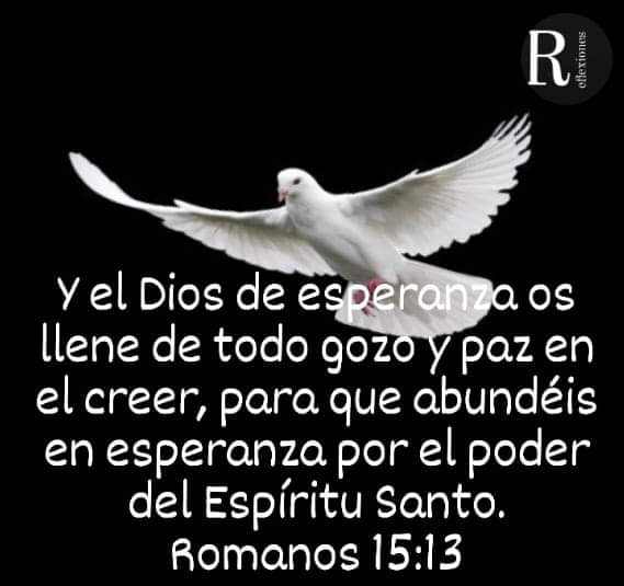 Reflexiones (@reflexiones5962) on Twitter photo 