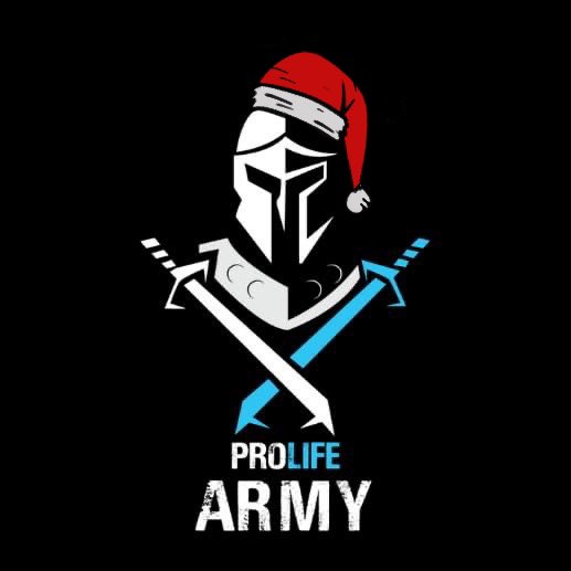 ¡Ya casi es Navidad! ✝️🫡