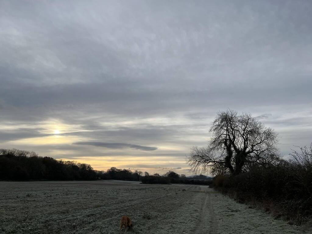 suephipps56's tweet photo. Morning on the shortest day. Now it gets better https://t.co/Edo0seVS8k https://t.co/BJN6wgy7nq