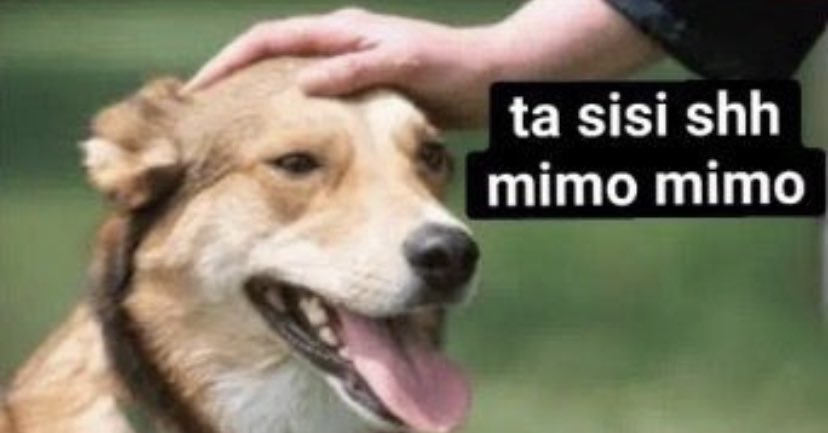 Alejandro Di Corinto tweet media