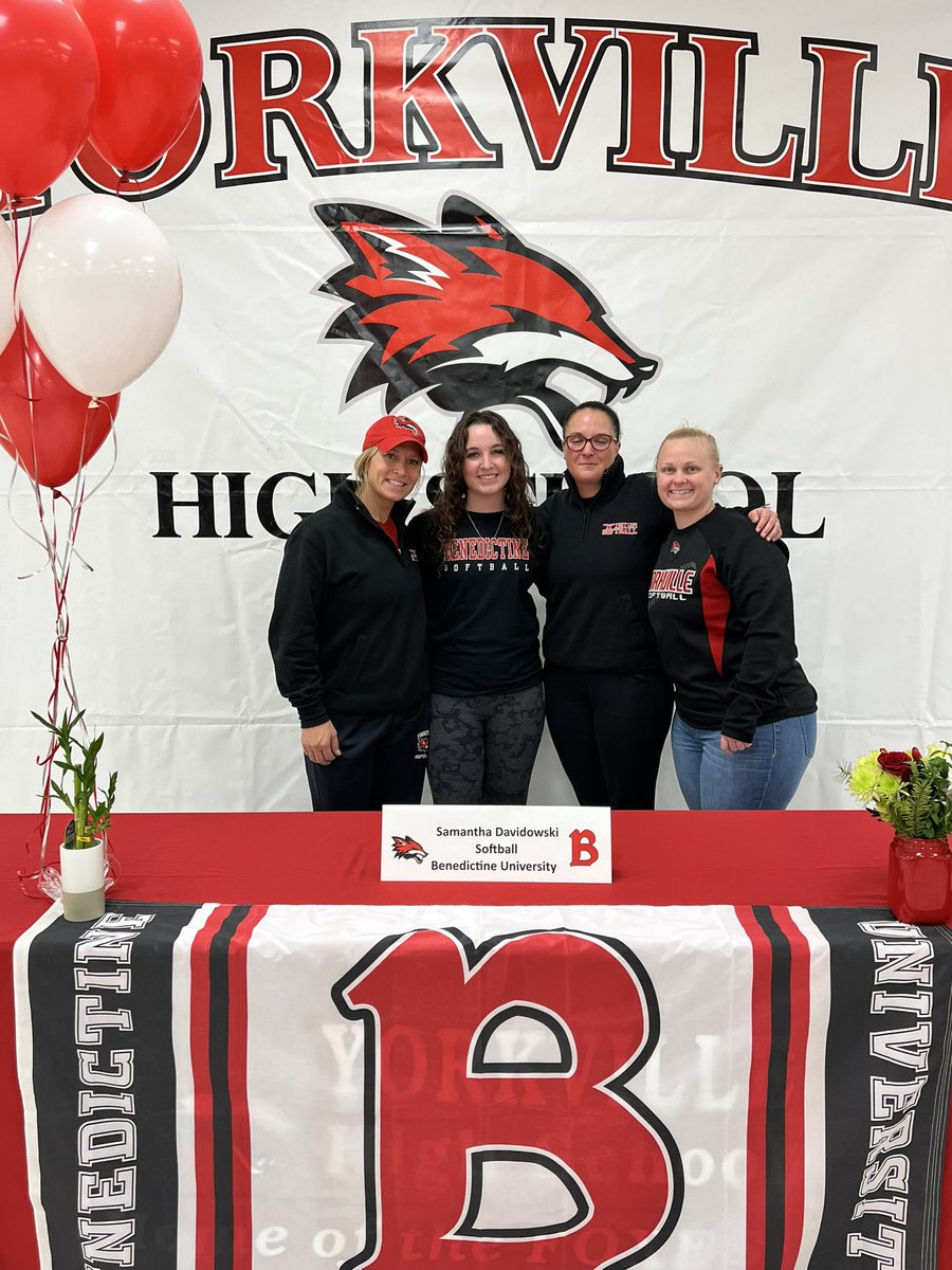 Yorkville High School Softball tweet media
