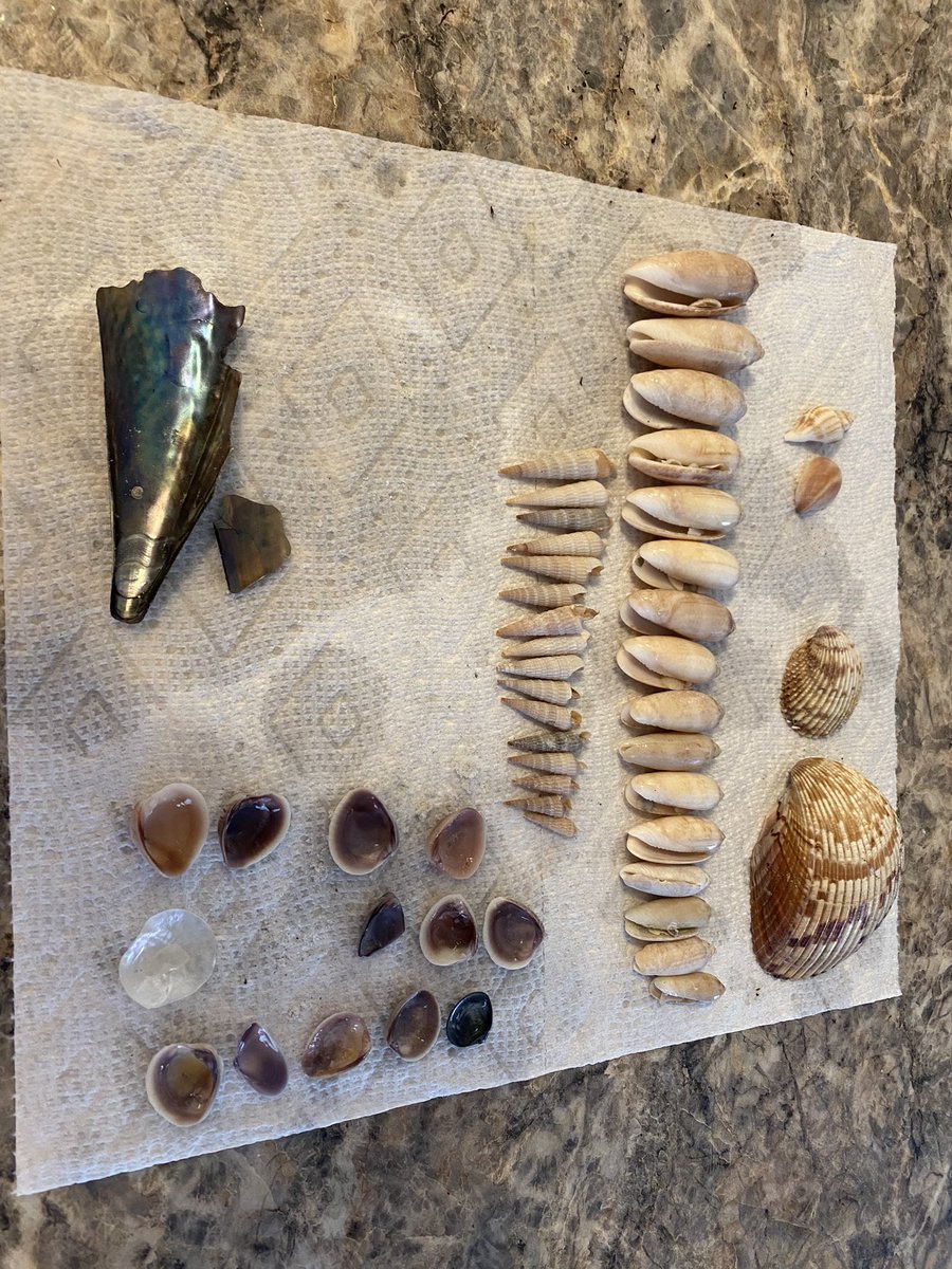 Kelli Johnson tweet media