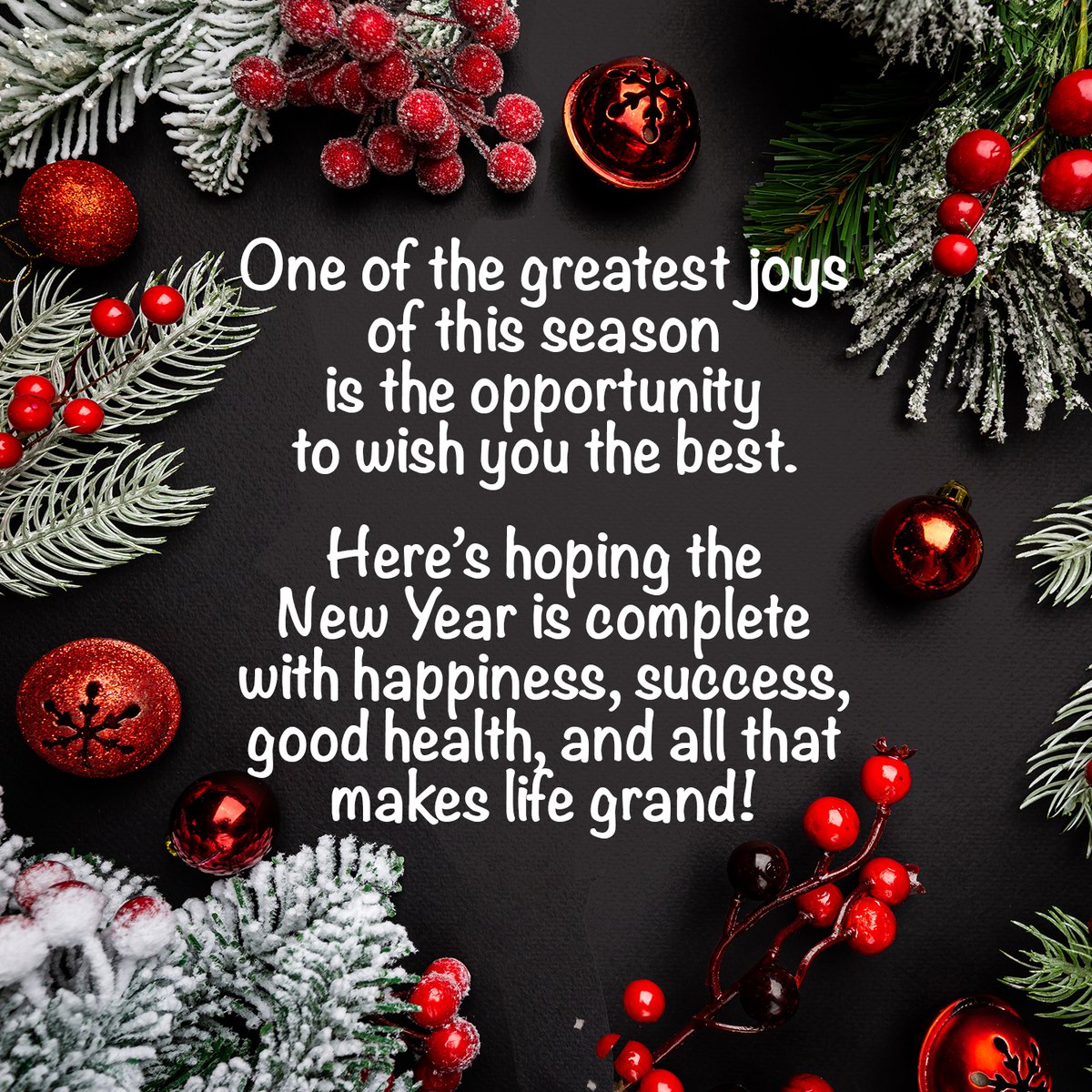 AmicaSystems's tweet photo. All of us at Amica Systems send you &amp; your family best wishes for the Holidays! https://t.co/32gUEb4sQ2