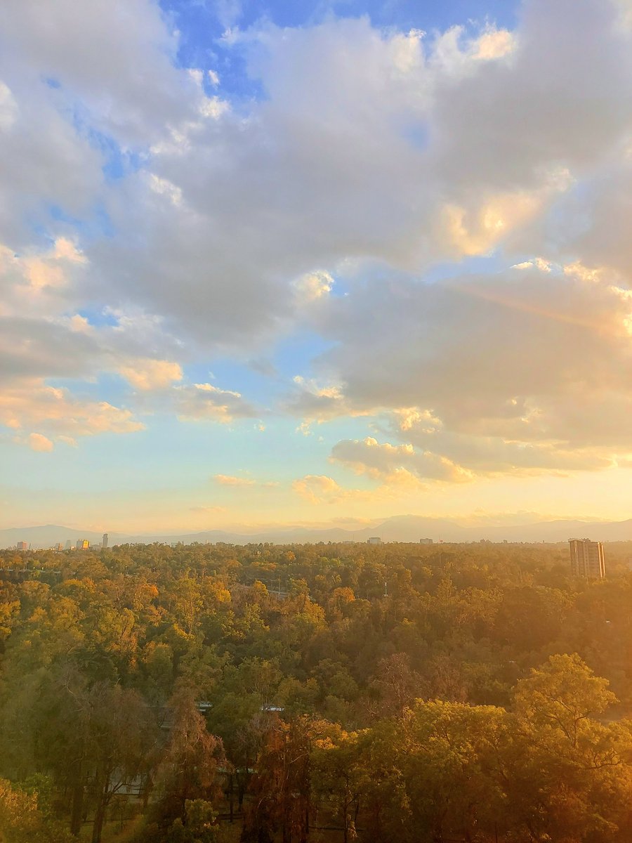 AsvazadourianJP's tweet image. Así llega el invierno a la gran Tenochtitlán...
Hermosa CDMX♥️