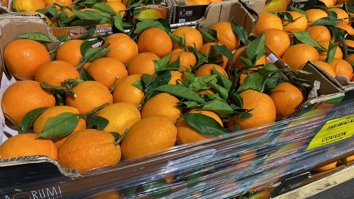 HGWalker1's tweet image. Wow! 🤩 Italian leafy oranges to go with your Spanish chocolate oranges #oranges #italy #fresh #fruit #healthy #citrus #vegan