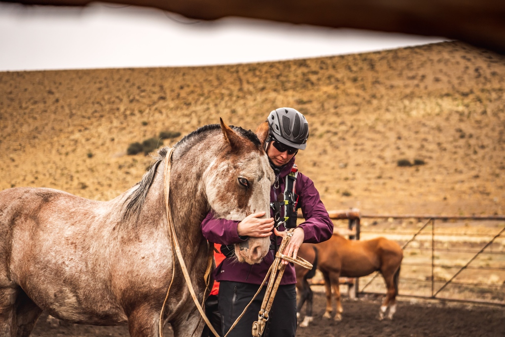 equestrianist's tweet photo. The Gaucho Academy kicks off January 25, 2023.  There's still a couple saddles available for some keen Equestrianists.

If you'd like to learn more follow this link: https://t.co/bC3N9XKMeR

Photos by: @sarahfarnsworthfieldsports https://t.co/xgs5YmlL4q