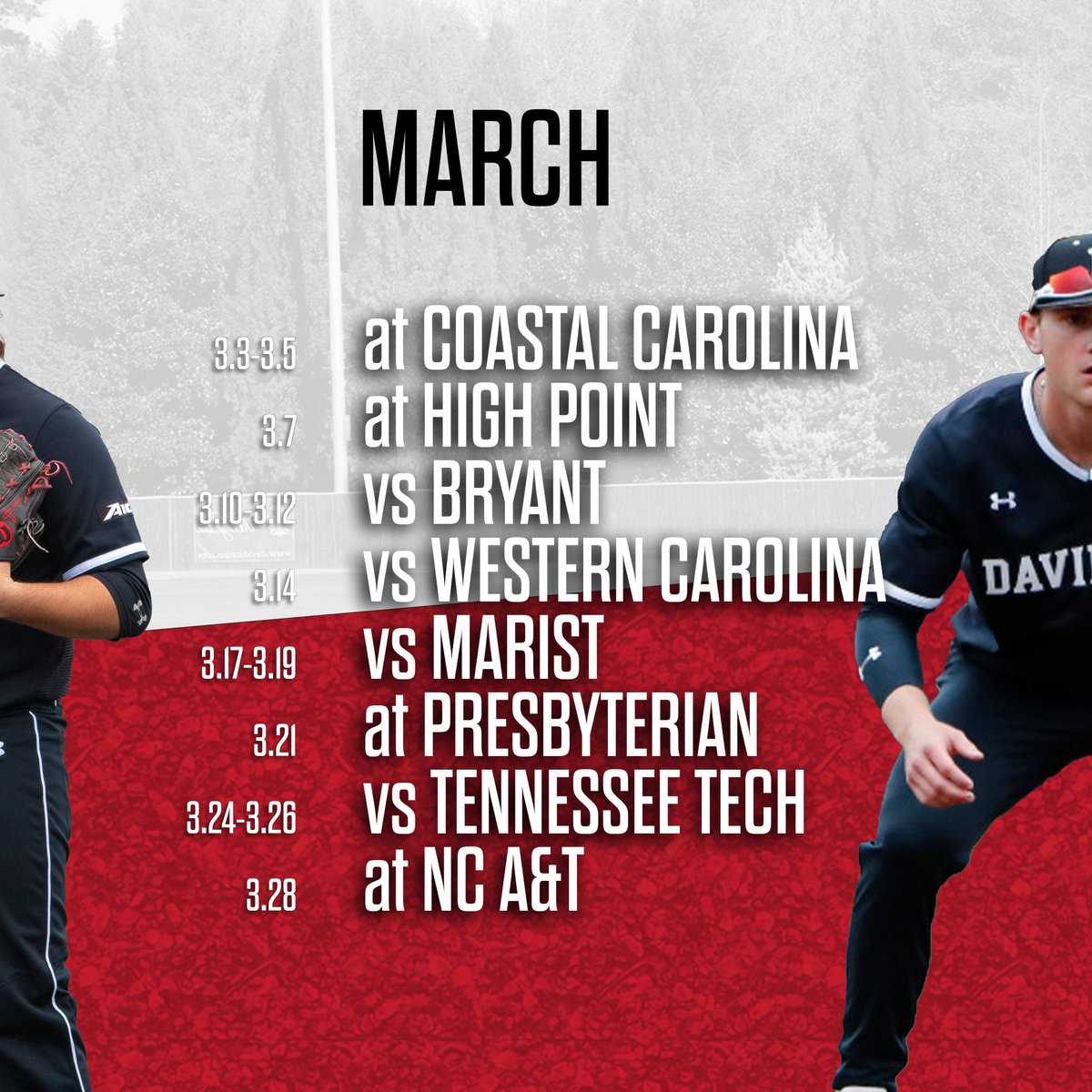 Davidson Baseball tweet media