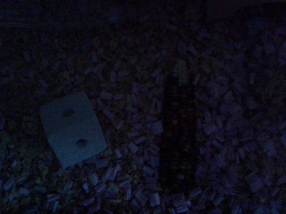 ham_watch tweet picture