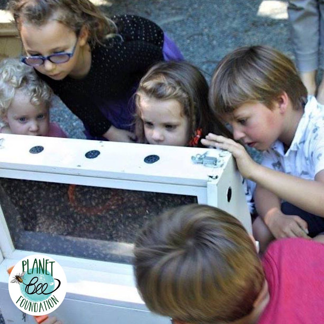 Planet Bee tweet media