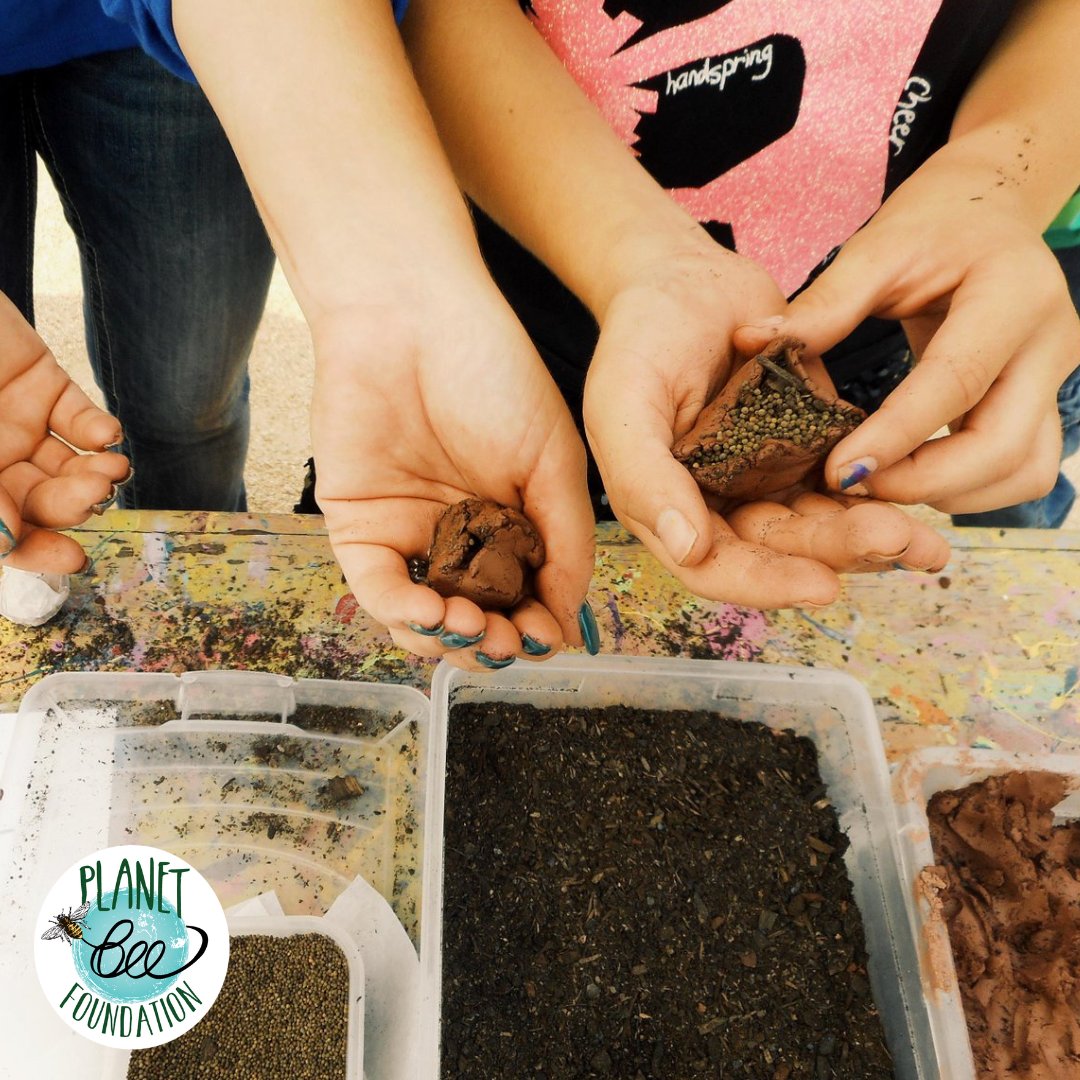 What an un-bee-lievable year we've had!

Thanks to our sponsors, community partners and donors, we've impacted over 75,000 individuals in both the U.S. and Canada through our various programs.

Take a look at our 2022 highlights at planetbee.org/planet-bee-blo…

#savethebees #nonprofit