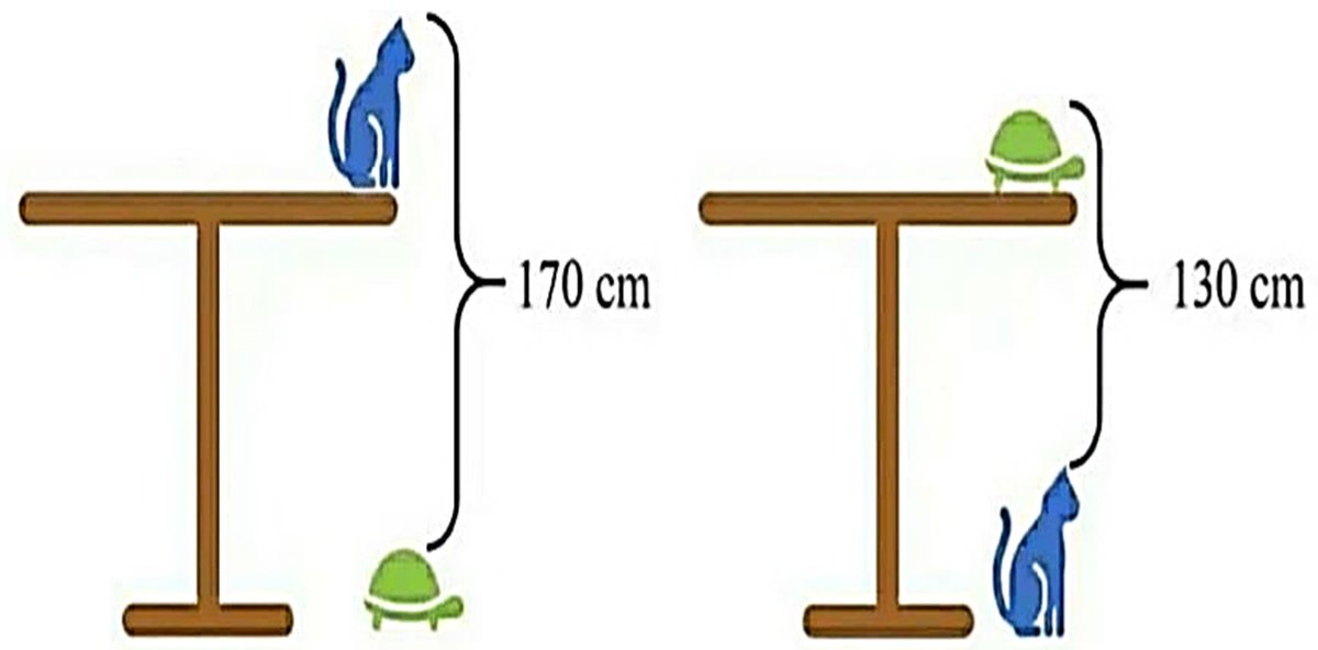 IngE_Darwin's tweet photo. ¿Cuánto mide la altura de la mesa? https://t.co/EaZOtNlvkf