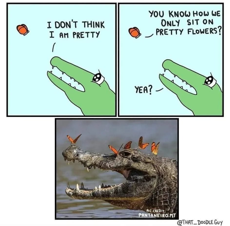 WholesomeMeme's tweet photo. Comic by @divyanshsikka https://t.co/ml4YmivHOt