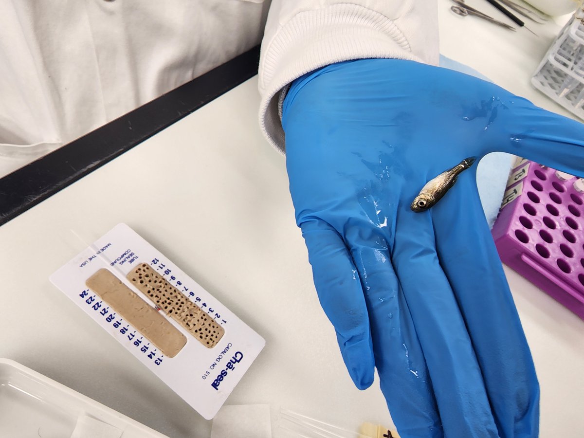 Aquatic Omics Lab tweet media