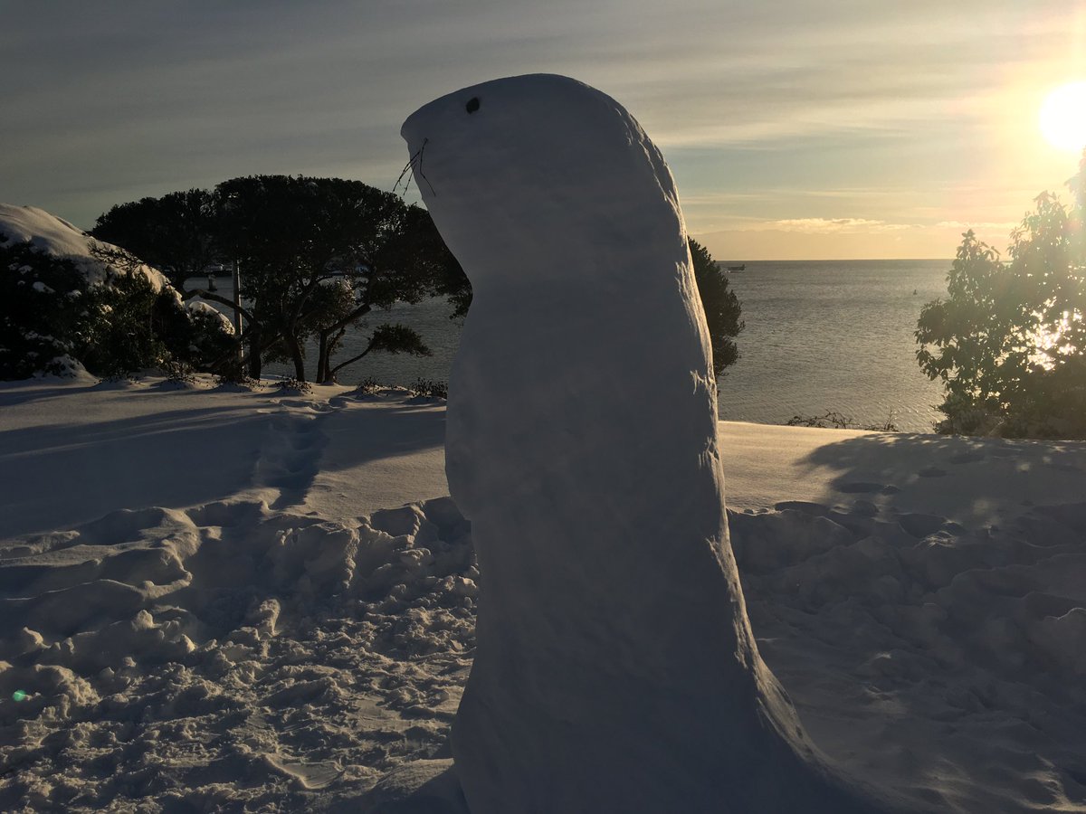 HousesandCondos's tweet photo. No snowman but I found a snow otter.
#seaotter #westcoast #yyjsnow #yyjweather #yyj #vanisle #snowday #wintersolstice #songhees #westsong #december https://t.co/tmC7Lfqqb0