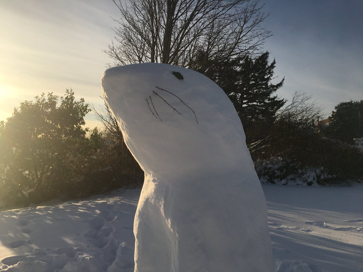 HousesandCondos's tweet photo. No snowman but I found a snow otter.
#seaotter #westcoast #yyjsnow #yyjweather #yyj #vanisle #snowday #wintersolstice #songhees #westsong #december https://t.co/tmC7Lfqqb0