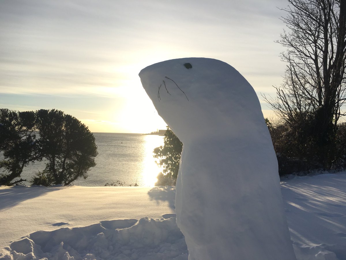 HousesandCondos's tweet photo. No snowman but I found a snow otter.
#seaotter #westcoast #yyjsnow #yyjweather #yyj #vanisle #snowday #wintersolstice #songhees #westsong #december https://t.co/tmC7Lfqqb0