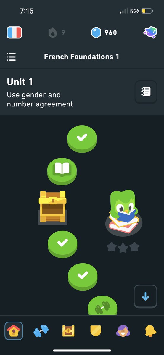 YA_Bookmark's tweet photo. @duolingo I lost my progress on my account even though I was at about level 13 and had gold legendary levels. It seems to have started over with no progress. https://t.co/8eFe3tKIWX