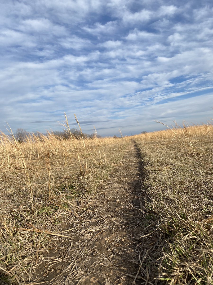 Disciple275's tweet image. A great 54 F day ahead of the cold front on its way to SE OK. Forecasted to cool down to as low as 7 F. Still praying for those already dealing with the severe cold and snow up north.