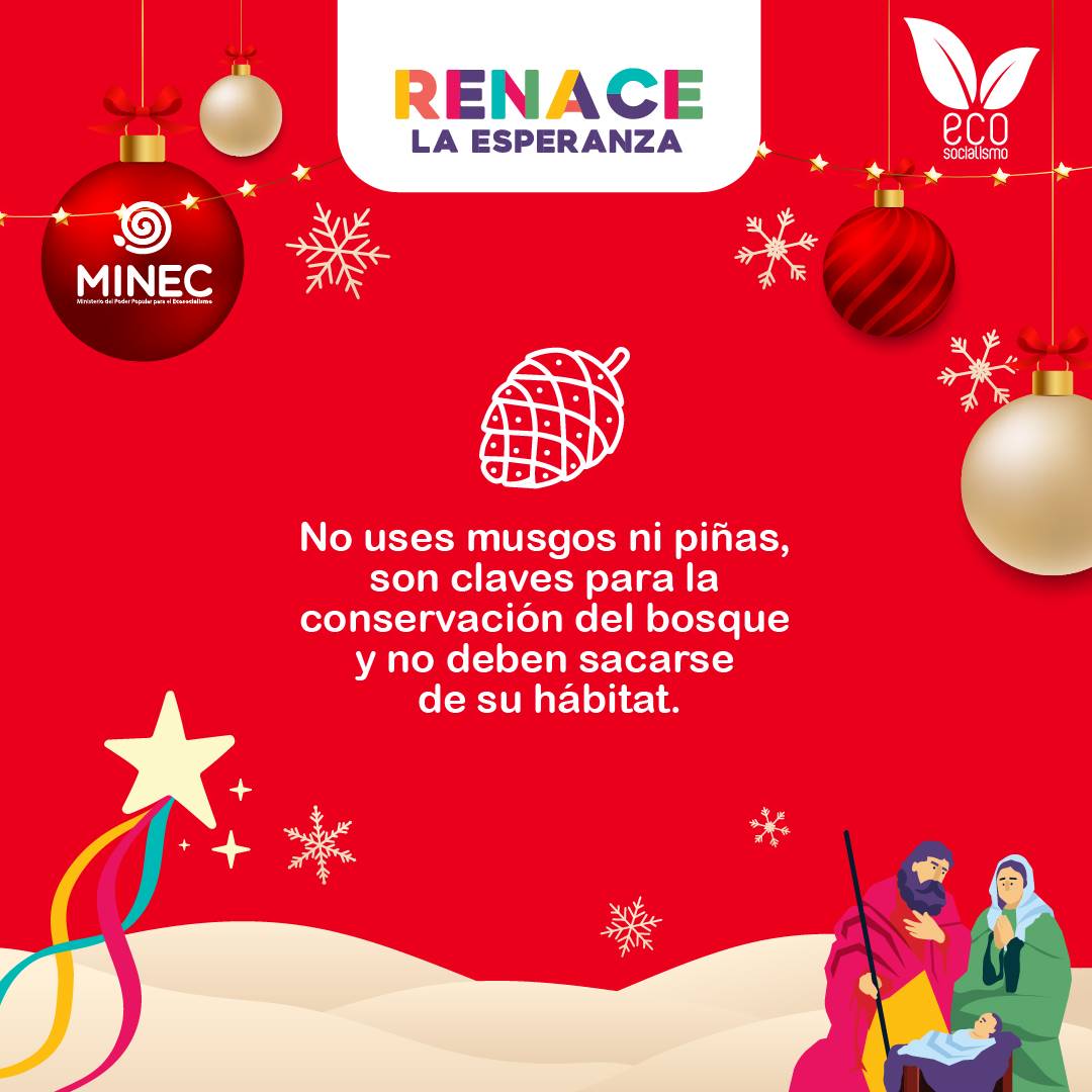 En el #Minec queremos invitarte a disfrutar de una "Navidad Sustentable", en la que pongas a prueba tu creatividad y conciencia ecológica, para disfrutar de todos los momentos mágicos que regala la época decembrina.