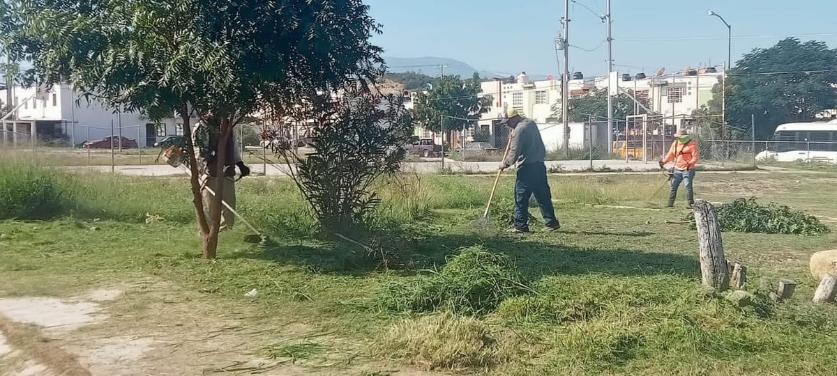 Gob_Victoria's tweet photo. Trabajos de limpieza, corte de maleza y recolección de basura en él Fracc. Familias Fuertes.
@SoyLaloGattas
#ServiciosPúblicos #TransformandoVictoria #TeQuieroMás https://t.co/iR6UeZaZt5