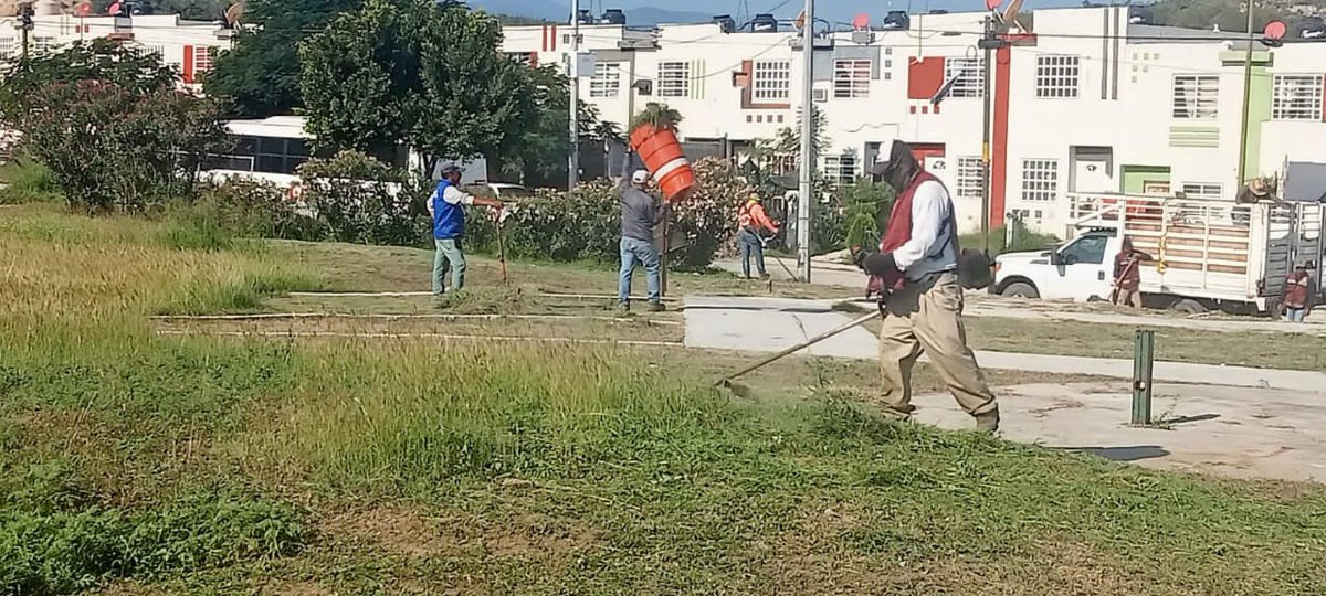 Gob_Victoria's tweet photo. Trabajos de limpieza, corte de maleza y recolección de basura en él Fracc. Familias Fuertes.
@SoyLaloGattas
#ServiciosPúblicos #TransformandoVictoria #TeQuieroMás https://t.co/iR6UeZaZt5