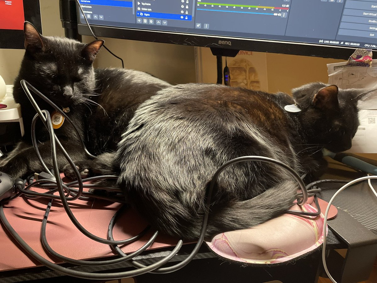 FlareEons's tweet photo. Trying to re-wire my desk, but I guess I’ll wait until nap time is over.
Are cables comfy nap spots?
#CatsOfTwitter #Streaming https://t.co/hYqHKzhISR