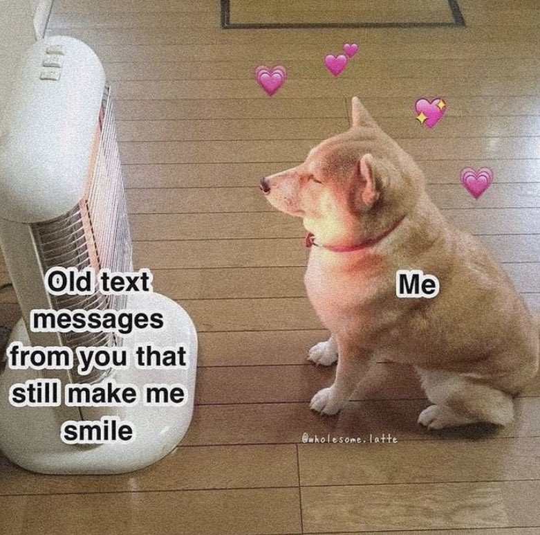 not cute & kinky memes (@cravedcuddle) on Twitter photo 