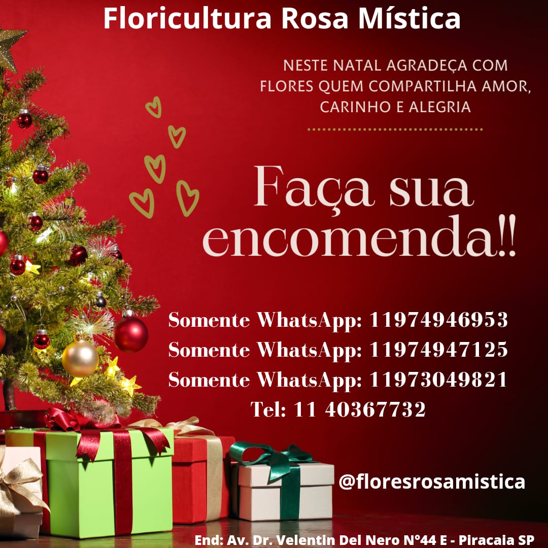 AliceMelchior2's tweet photo. Vamos florir esse dia !? 🤗😍

Faça seu pedido... 

Acesse nosso catálogo:
https://t.co/6e71YvM9k7

▶️ Estamos localizados na Av. Dr. Valentin Del Nero N° 44 - próximo a padaria sonho real - Piracaia/SP https://t.co/Uijlt1F1CX
